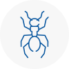 Ant Removals In Stockton