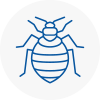 Bed Bug Extermination In Stockton