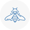 Bee Nest Removal Stockton