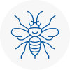 Stockton Hornet Nest Removals