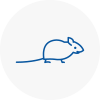 Mice Exterminators In Stockton