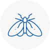 Moth Control Specialists In Stockton