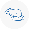 Rat Control Stockton
