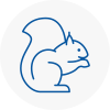 Stockton Rodent Removals