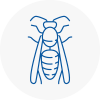 Stockton Wasp Nest Removal